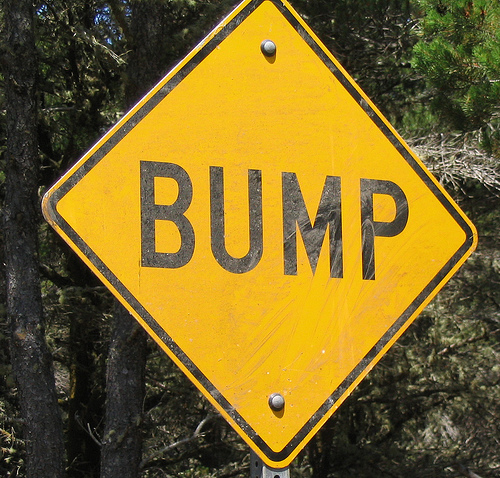 [Image: bump-sign-mintprofusion-flickr.jpg]